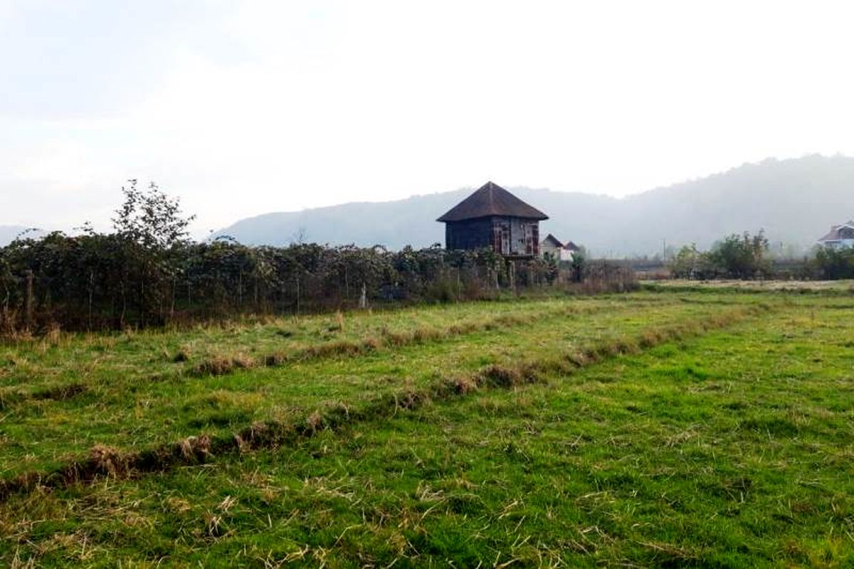 مزارع گردشگری