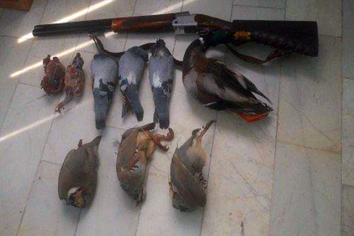 اصفهان- شکار  پرندگان وحشی