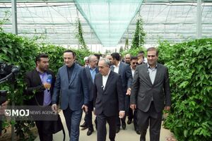 اجرای ۵ هزار پروژه نیروگاه خورشیدی در سراسر مناطق آزاد کشور
