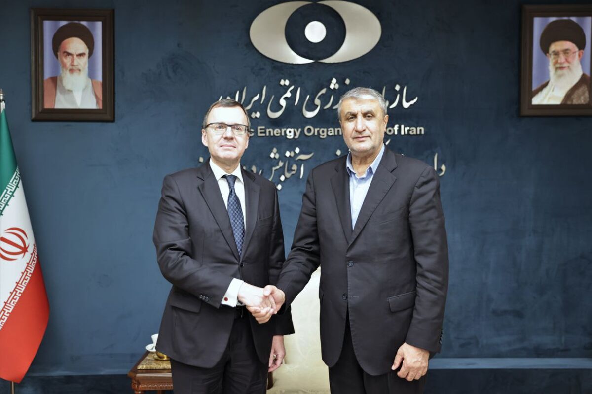 دیدار رئیس سازمان انرژی اتمی با معاون بین‌الملل روس‌اتم