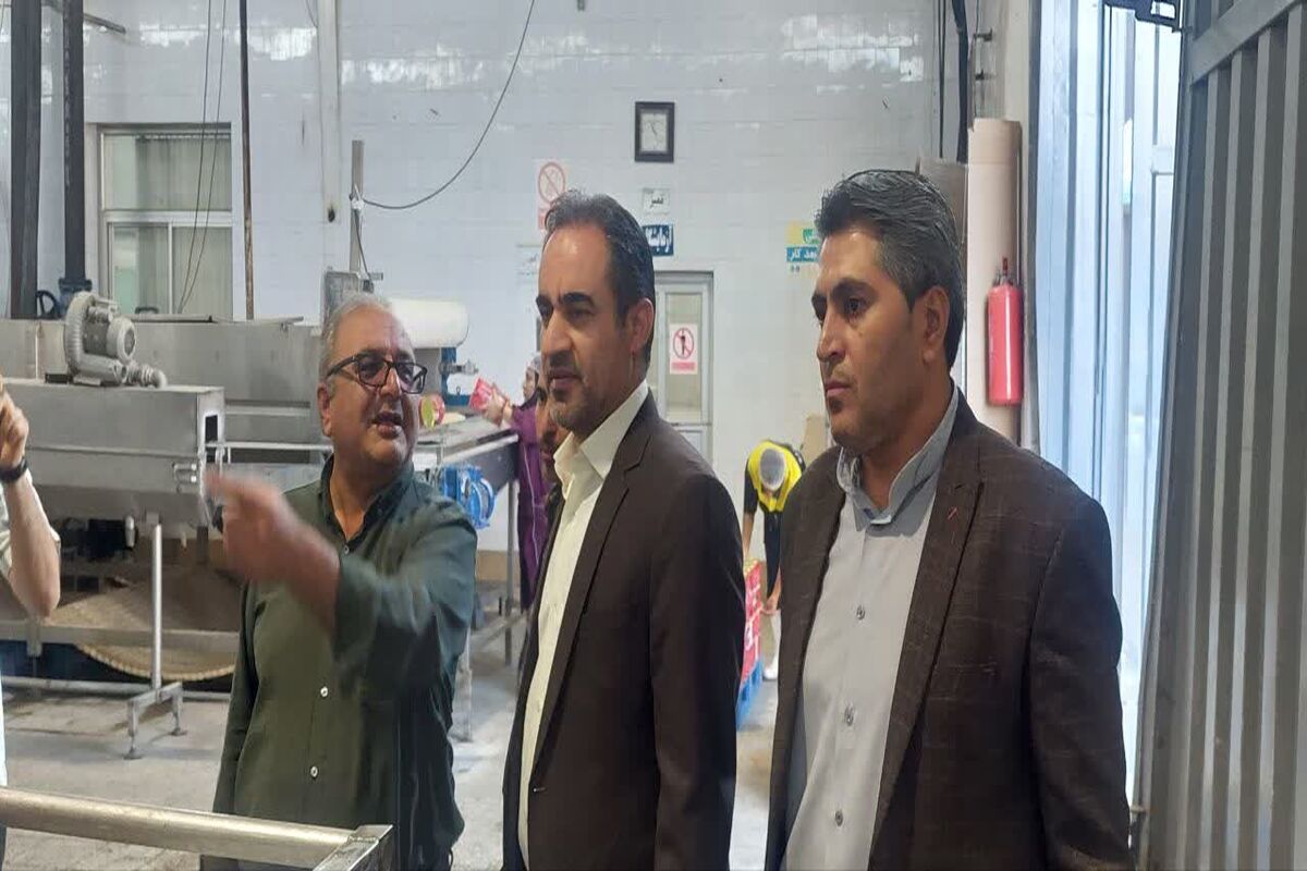 شهرک صنعتی فارس 