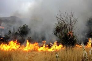 هشدار مدیرکل منابع طبیعی هرمزگان در خصوص خطر آتش سوزی در مراتع