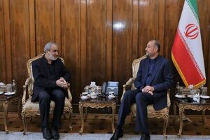 برای او که مرد عرصه دیپلماسی بود