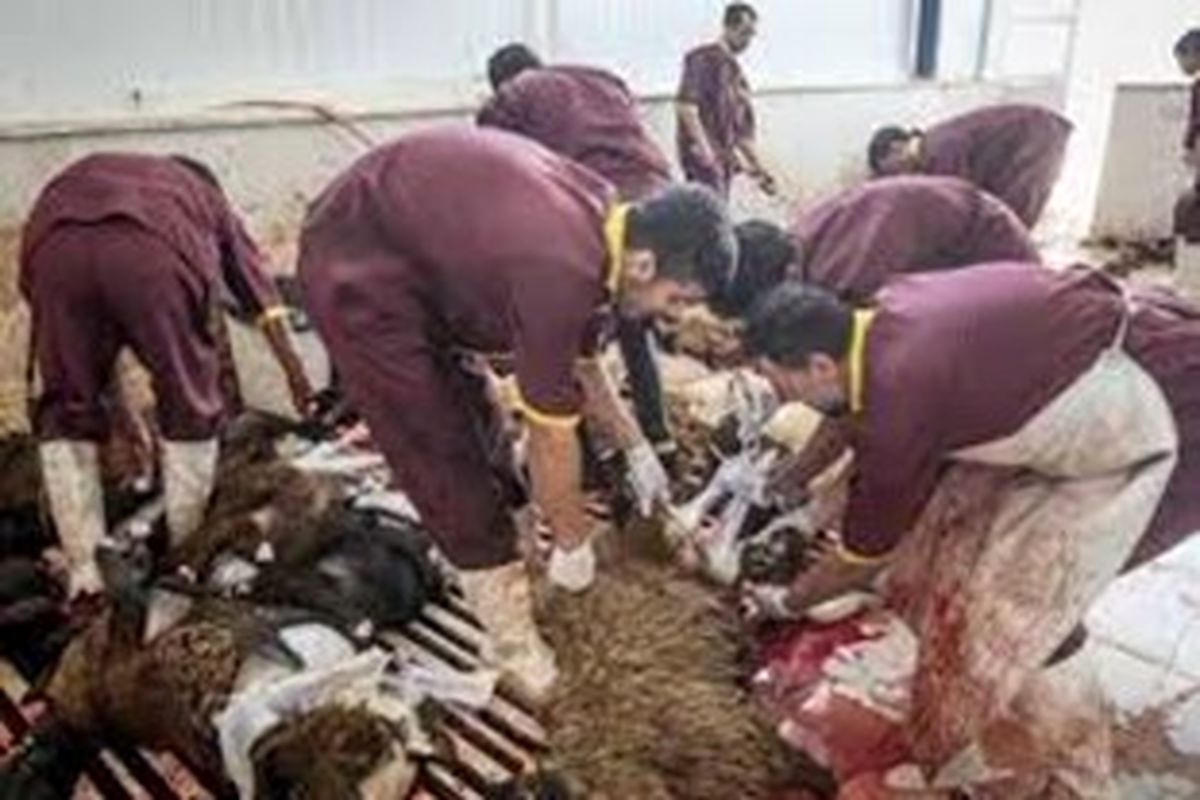 گوشت را فقط از فروشگاه‌های معتبر خریداری کنید