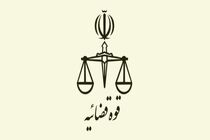 حمید رسایی باز هم در صحن علنی مجلس گزارش اشتباه داد
