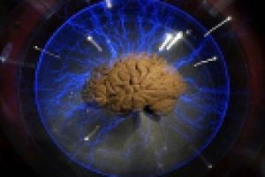 باشگاه مغز راه اندازی می‌شود