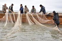 وزیر جهاد کشاورزی از افزایش صادرات لبنیات و آبزیان خبر داد