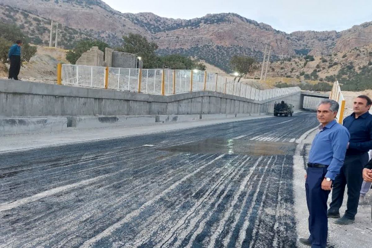 زیرگذر ارغوان
