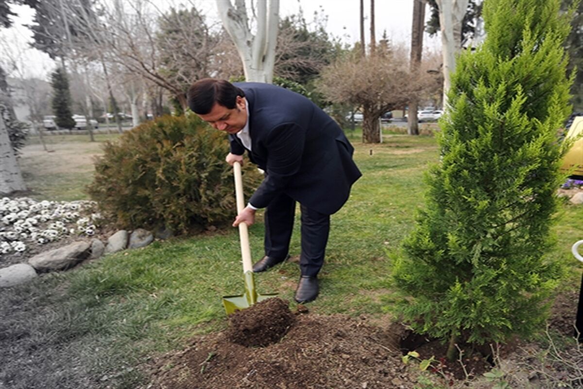بانک کشاورزی