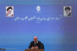 بنیاد مستضعفان تنها در ۷ حوزه کلان فعال خواهد بود