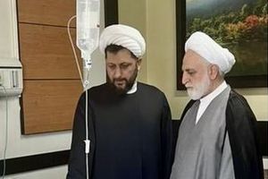 حجت الاسلام اژه‌ای به عیادت آیت‌الله نوری همدانی رفت