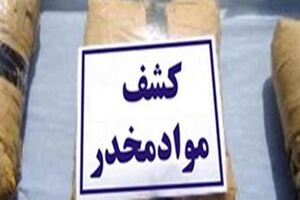 دستگیری سوداگرمرگ با ۸۰۰ گرم تریاک در یکی از محلات اردبیل