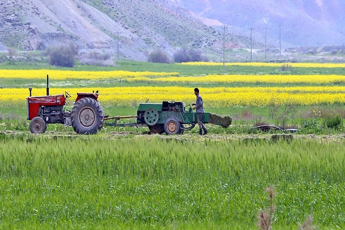 کشاورزی