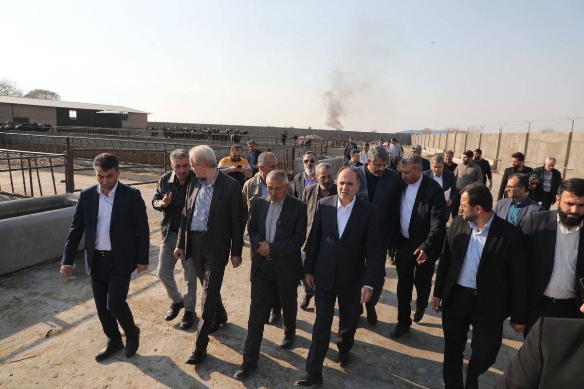 نوری قزلجه