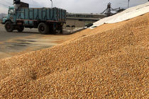 برای تأمین نهاده‌ها نگاه ویژه به بنادر شمالی خواهیم داشت