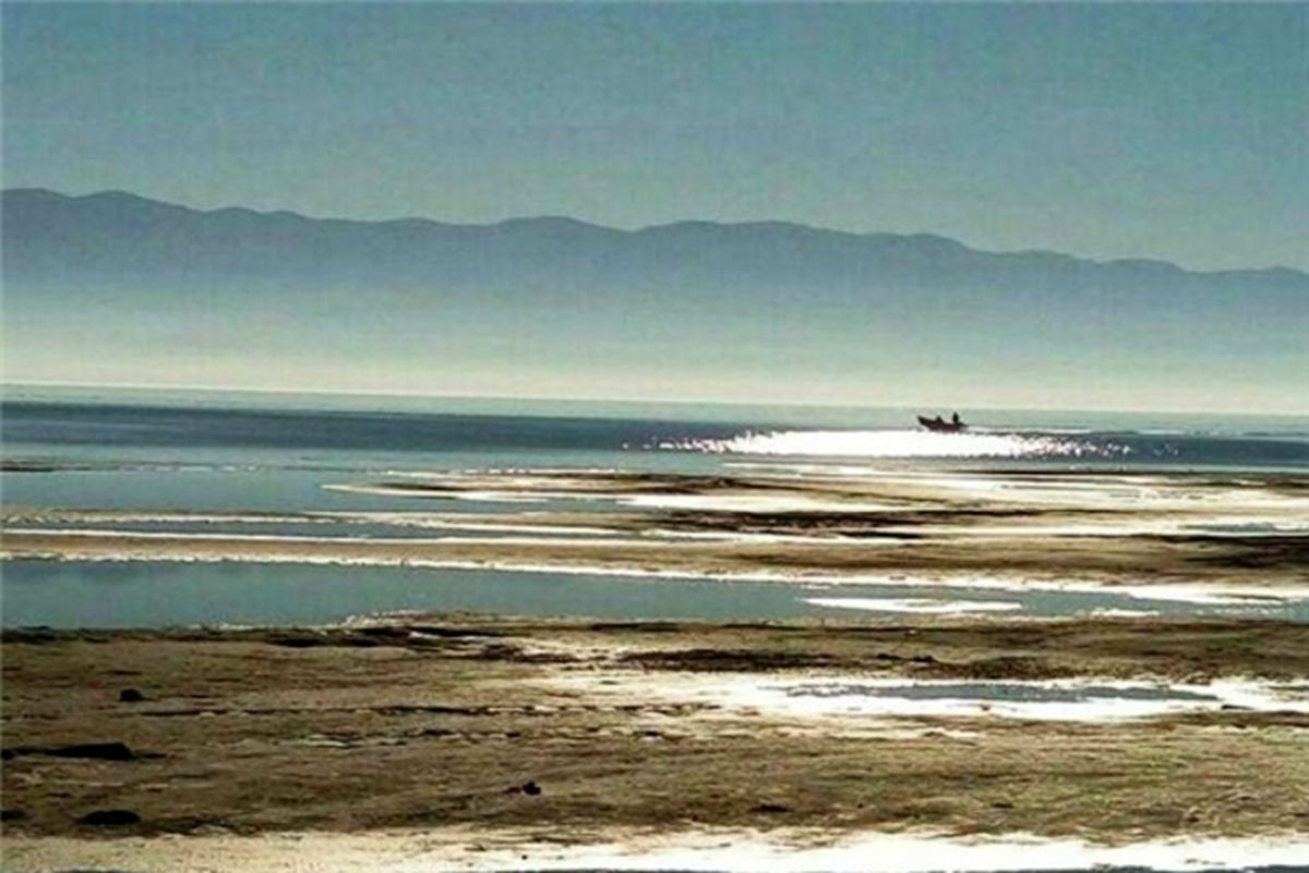 نجات خلیج گرگان