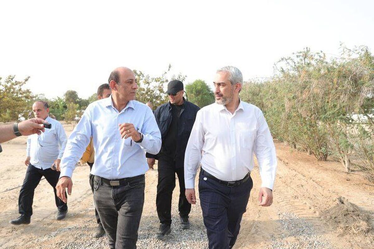 وزیر اقتصاد