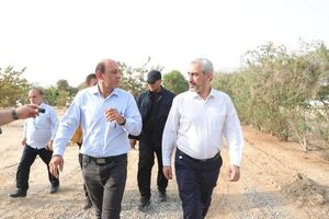 قول مساعد وزیر اقتصاد برای رفع مشکلات مجتمع کشت و صنعت مکران