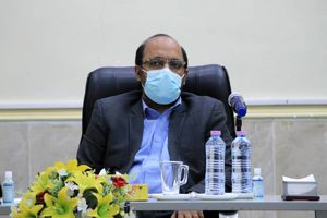 میناب رتبه نخست در زمینه تولید صیفی‌جات کشور/به دنبال احیا و بهره‌مندی از ظرفیت‌های بزرگ هستیم