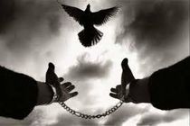 رهایی زندانی محکوم به قصاص در هرمزگان 