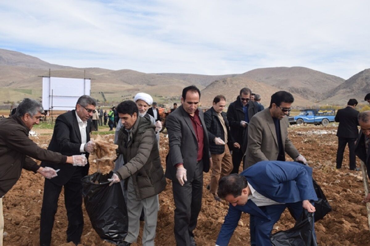 مهرداد فتحی بیرانوند