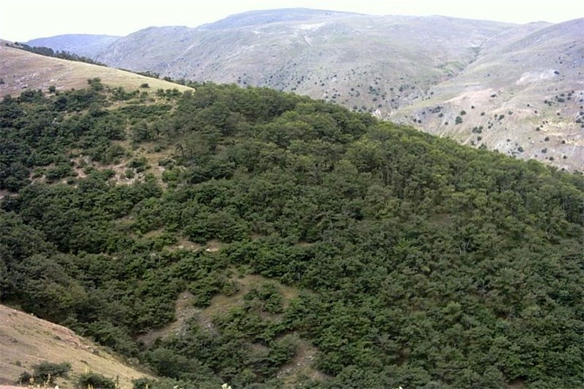 سبزکوه