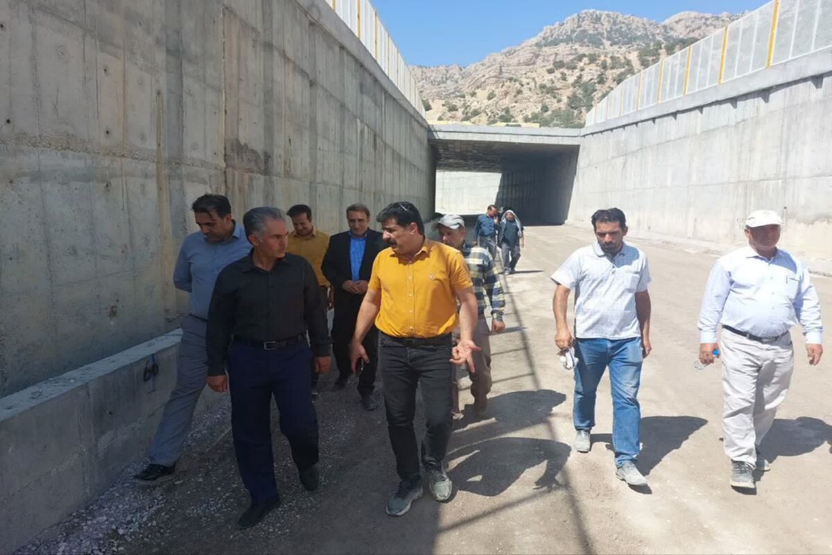 دوستی