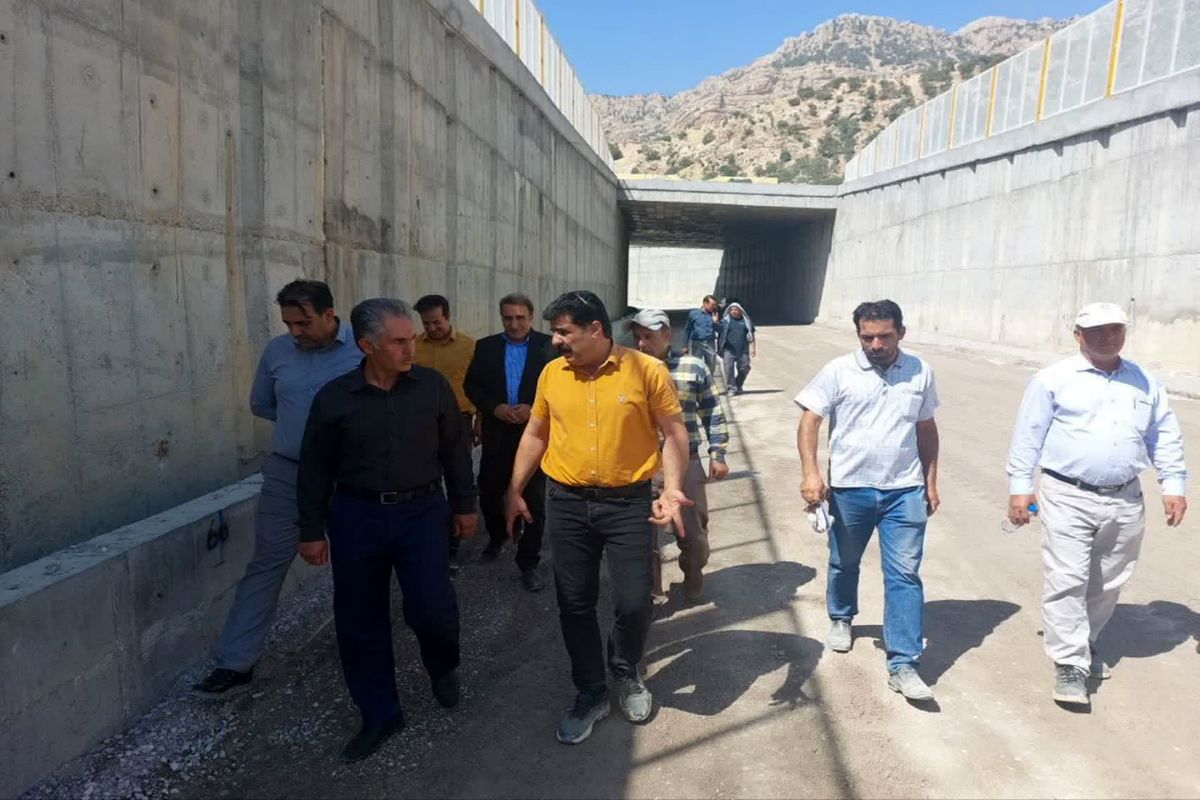 دوستی