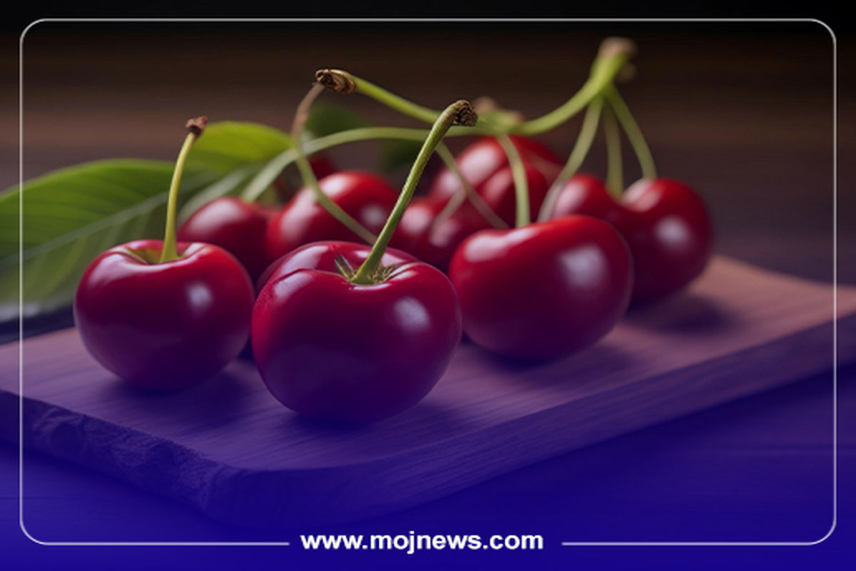 کاور آلبالو موج