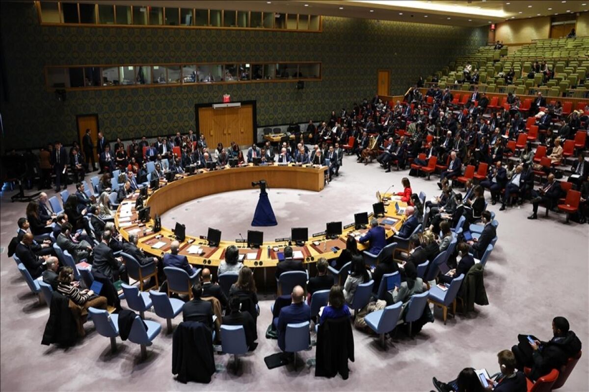 سازمان ملل