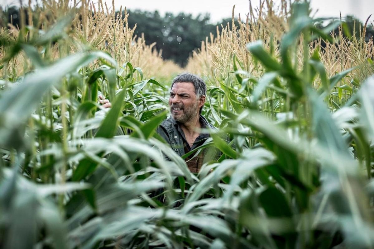 پیمان معادی