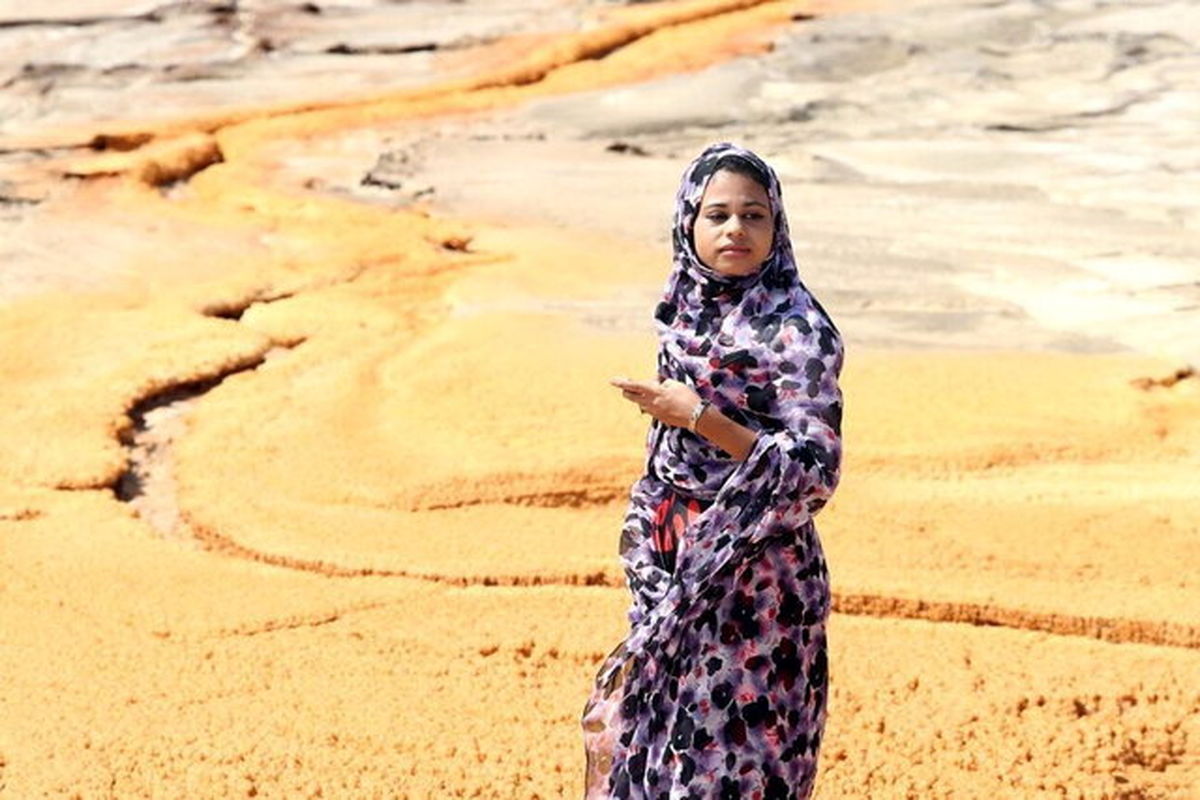 جزیره رنگین