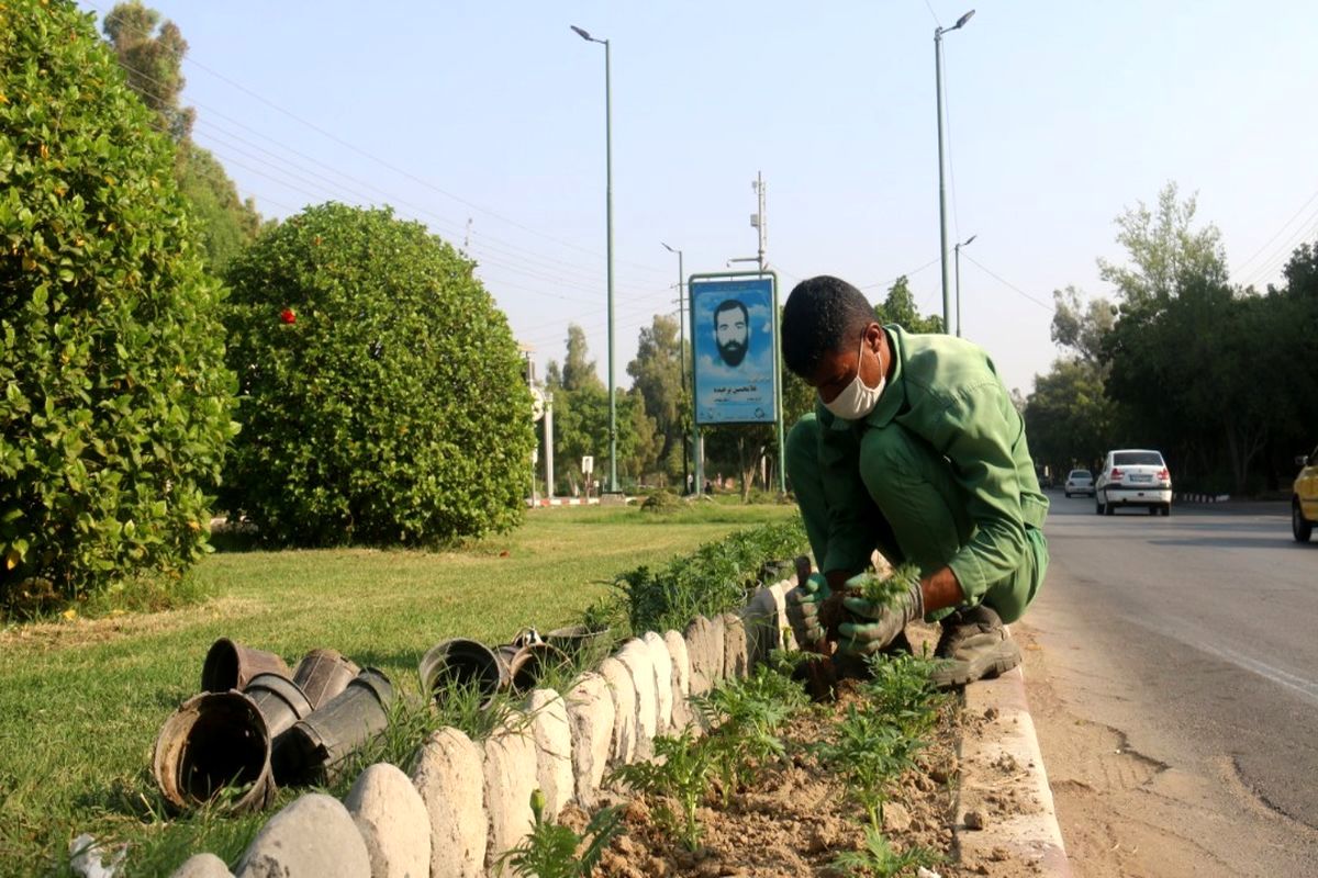 شهرداری منطقه یک بندرعباس