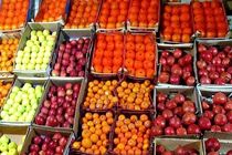 آغاز توزیع میوه شب یلدا در بندرعباس