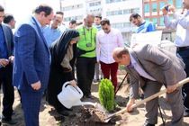 پرداخت پاداش های قبل از عید آتشنشانان در اولویت برنامه های شهرداری قرار دارد