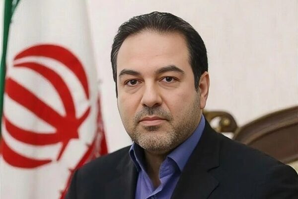 باید ارزیابی مستمری برای روند کاهش ولادت و ازدواج داشته باشیم