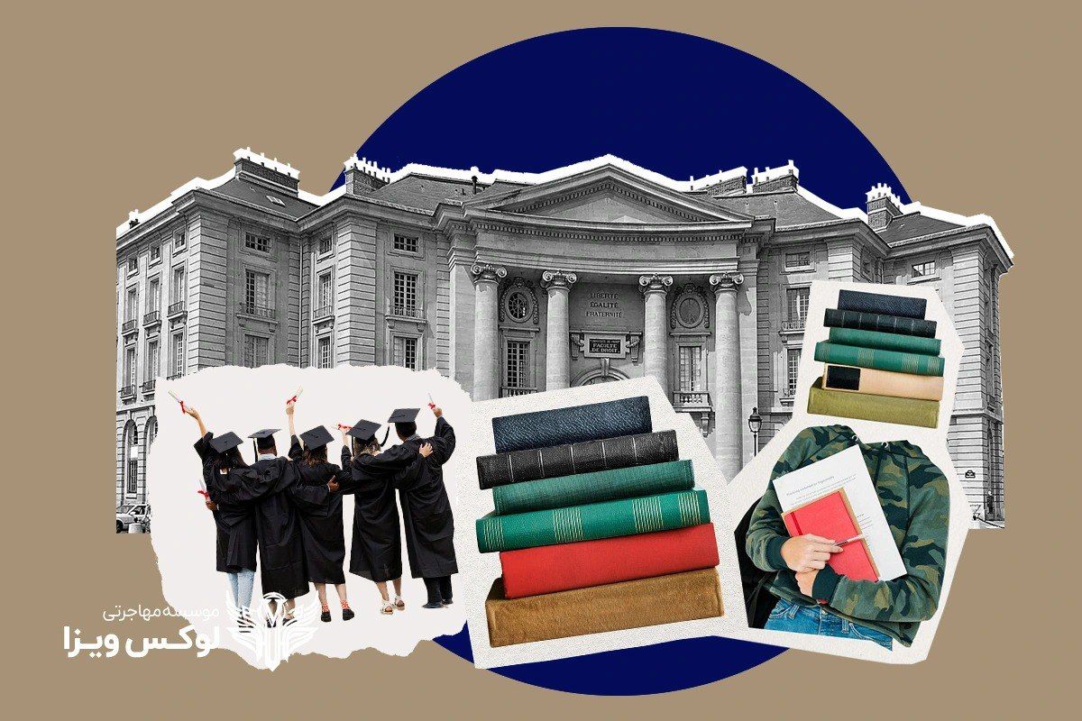 دانشگاه‌های برتر