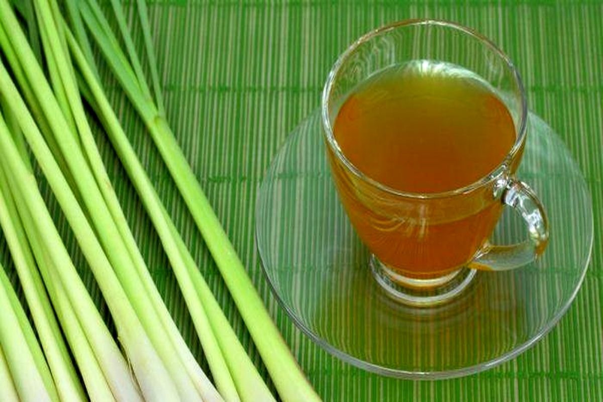 گیاه دارویی لمون گراس