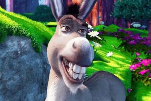 فیلم خر شرِک ساخته می‌شود