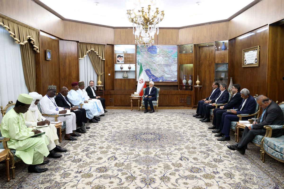 معاون اول رئیس‌جمهور در دیدار وزیر نفت نیجر