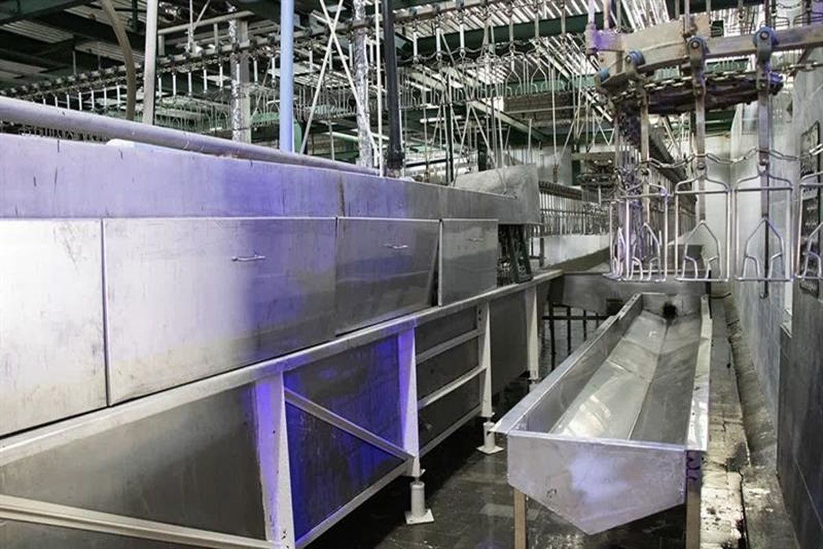 دادگستری گیلان