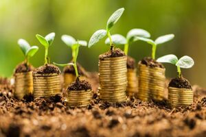 بیش از ۵۵ درصد احکام قانونی در مازندران اجرا نشده است