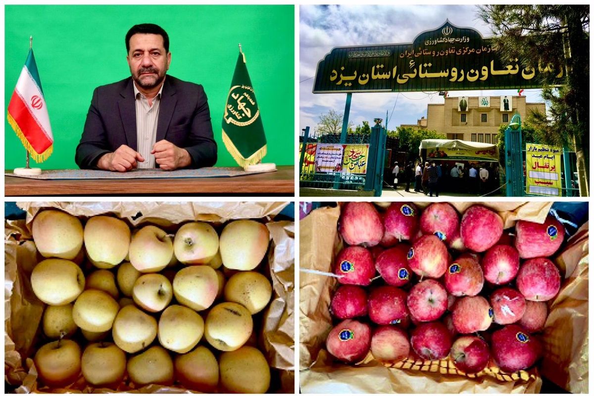 تعاون روستایی یزد