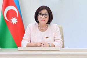رئیس مجلس جمهوری آذربایجان به تهران وارد شد
