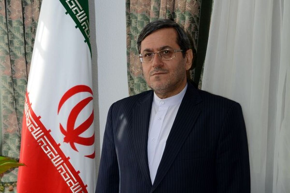 نماینده مجلس