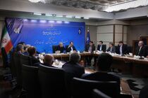 هم‌افزایی دولت و اصناف برای حفظ ثبات بازار ضروری است