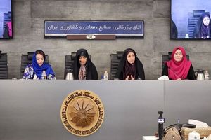 با کسب سواد دیجیتال ۵۰ درصد بازار ایران در دست زنان خواهد بود