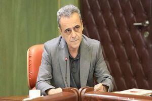 مجوز واردات 5.5 میلیون تن نهاده‌های دامی از ستاد تنظیم بازار اخذ شد