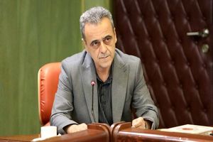 مجوز واردات 5.5 میلیون تن نهاده‌های دامی از ستاد تنظیم بازار اخذ شد