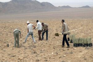 از یک دبستان در راستای اجرای طرح ترسیب کربن بهره‌برداری شد